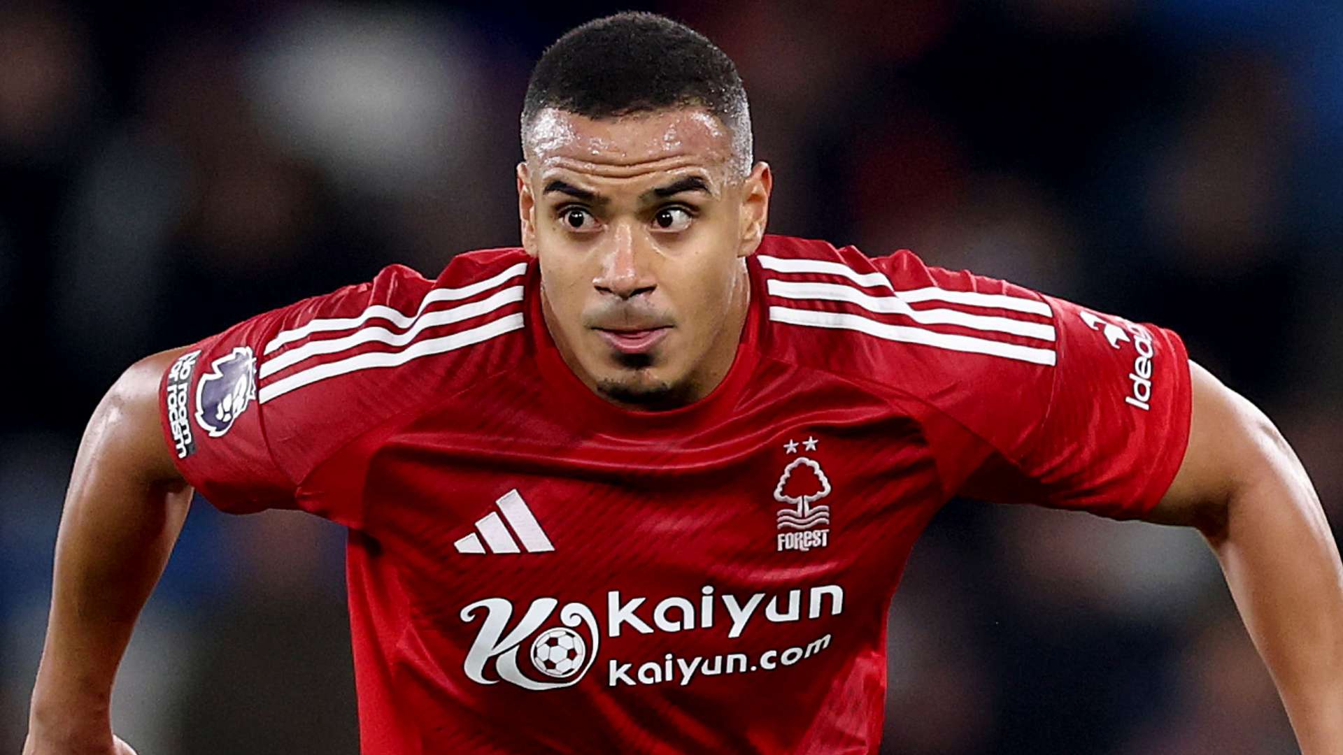 的最終選擇 的最終選擇