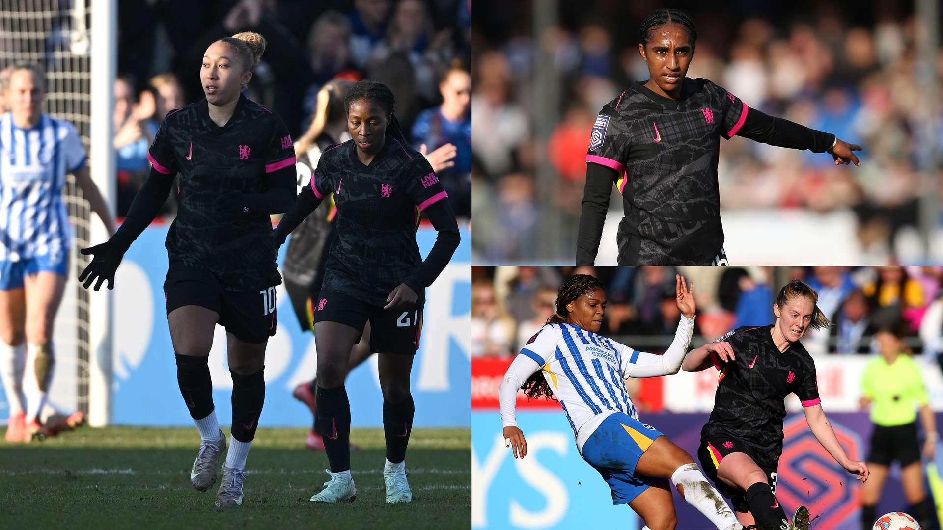 过引进拉比 过引进拉比